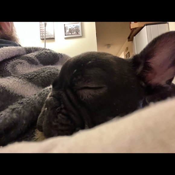 Meet your Posher, Dan - Picture 7 of 7